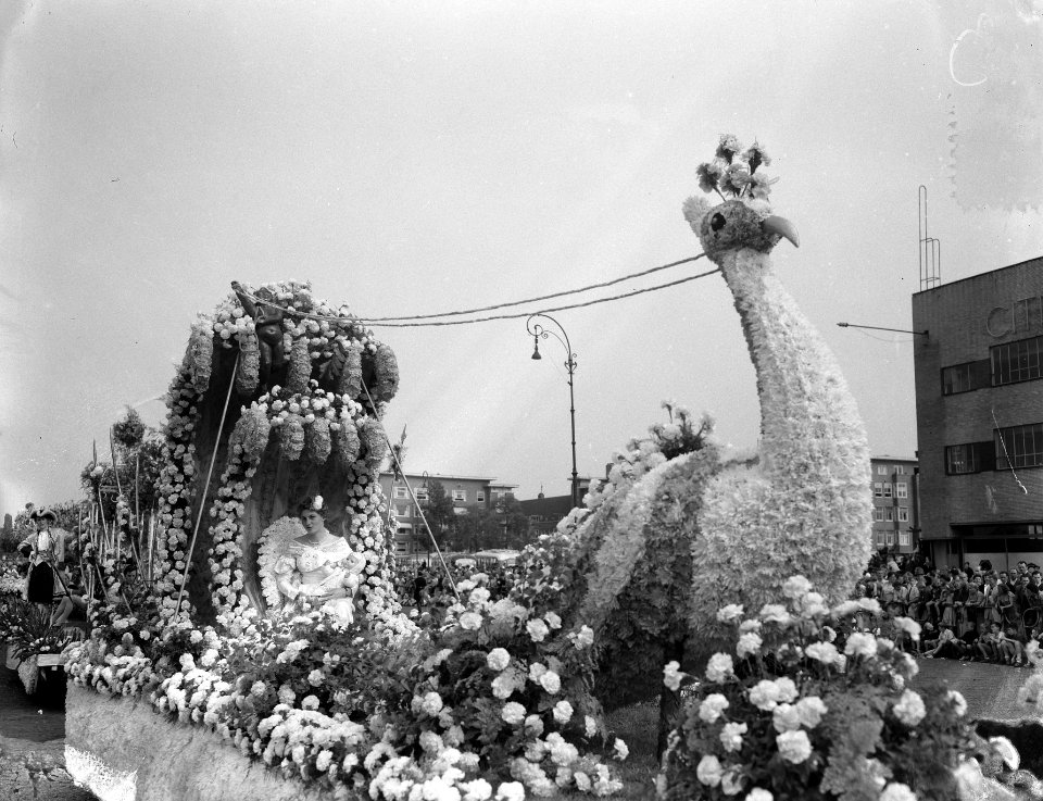 Jaarlijks bloemencorso stadion Amsterdam, Bestanddeelnr 906-6988