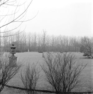 Jacob Catshuis Sorghvliet, de tuin achterkant, Bestanddeelnr 916-1047
