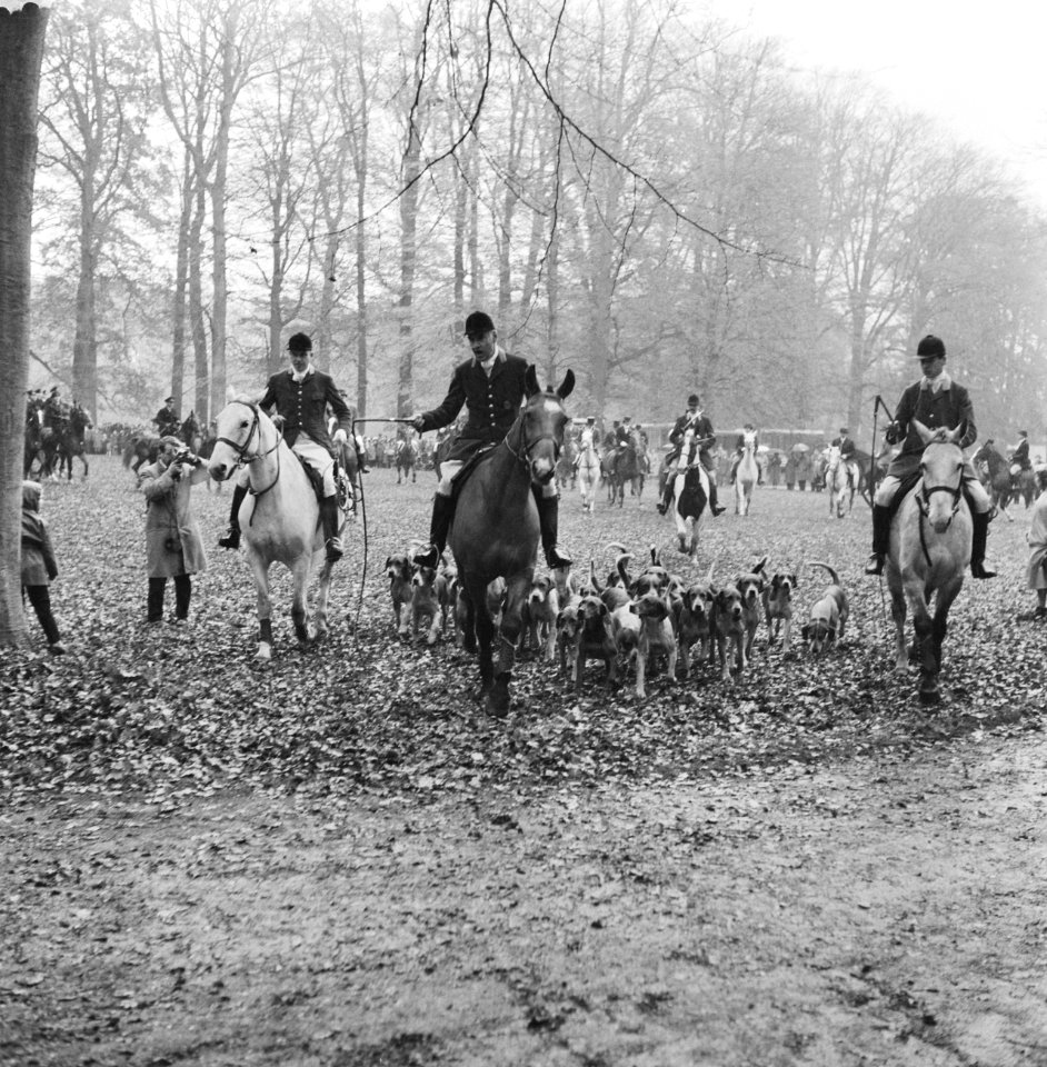 Jaarlijkse traditionele St. Hubertusslipjacht te Amersfoort, Bestanddeelnr 911-7430
