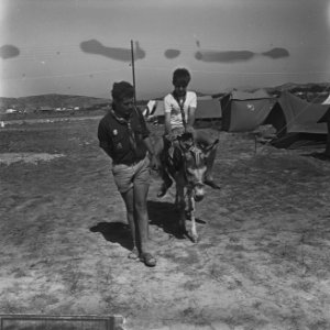 Jamboree 1963 te Marathon Griekenland Duitse padvinders, Bestanddeelnr 915-4389