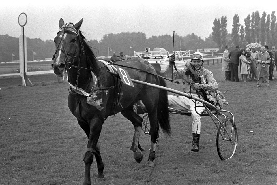 Jan van Dooyeweerd poseert met het paard Blazing Song, Bestanddeelnr 921-6819