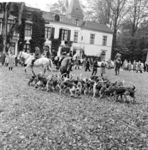 Jaarlijkse traditionele St. Hubertusslipjacht te Amersfoort, Bestanddeelnr 911-7426