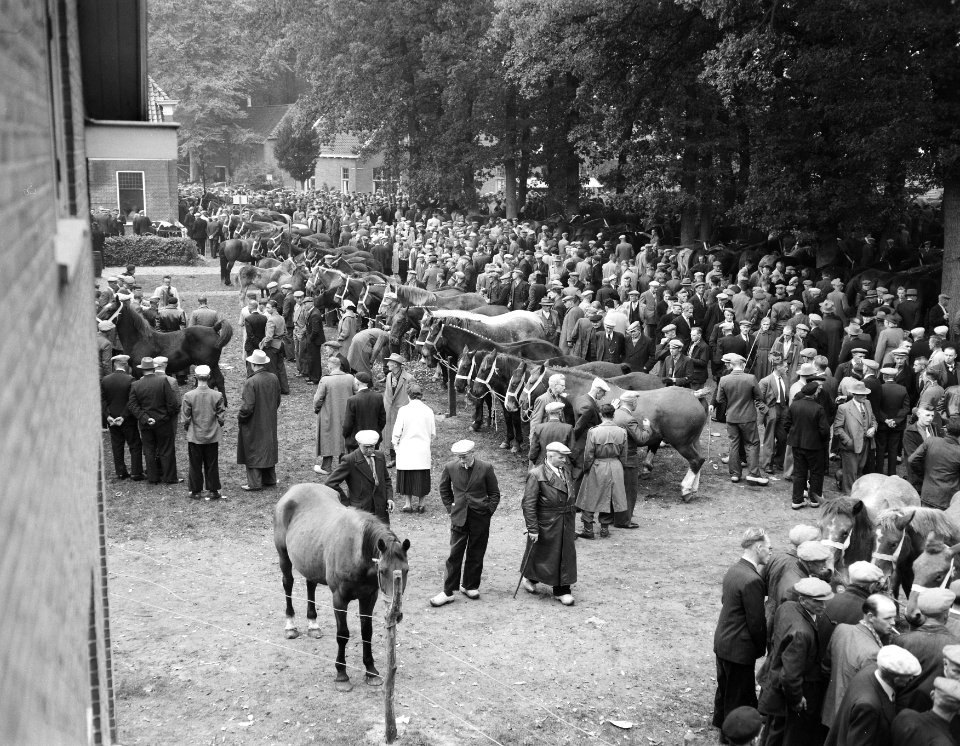 Jaarlijkse paardenmarkt in Zuidlaren, Bestanddeelnr 909-0335