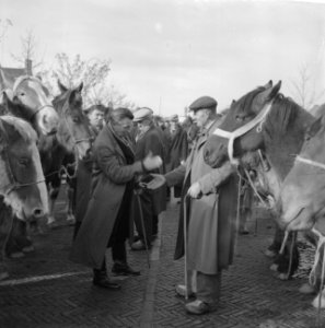 Jaarlijkse paardenmarkt te Hedel, Bestanddeelnr 911-7473