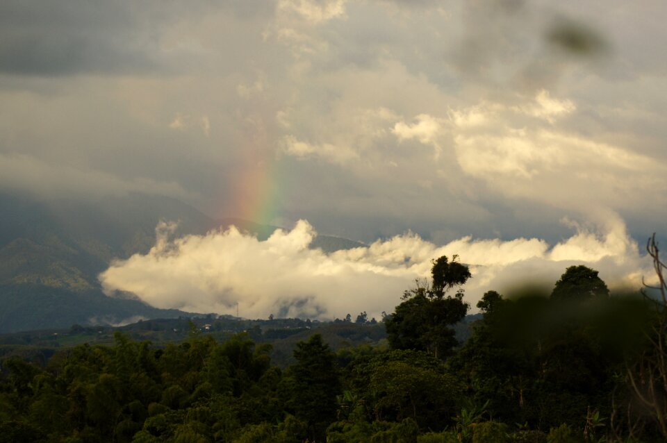 Landscapes quindio colombia