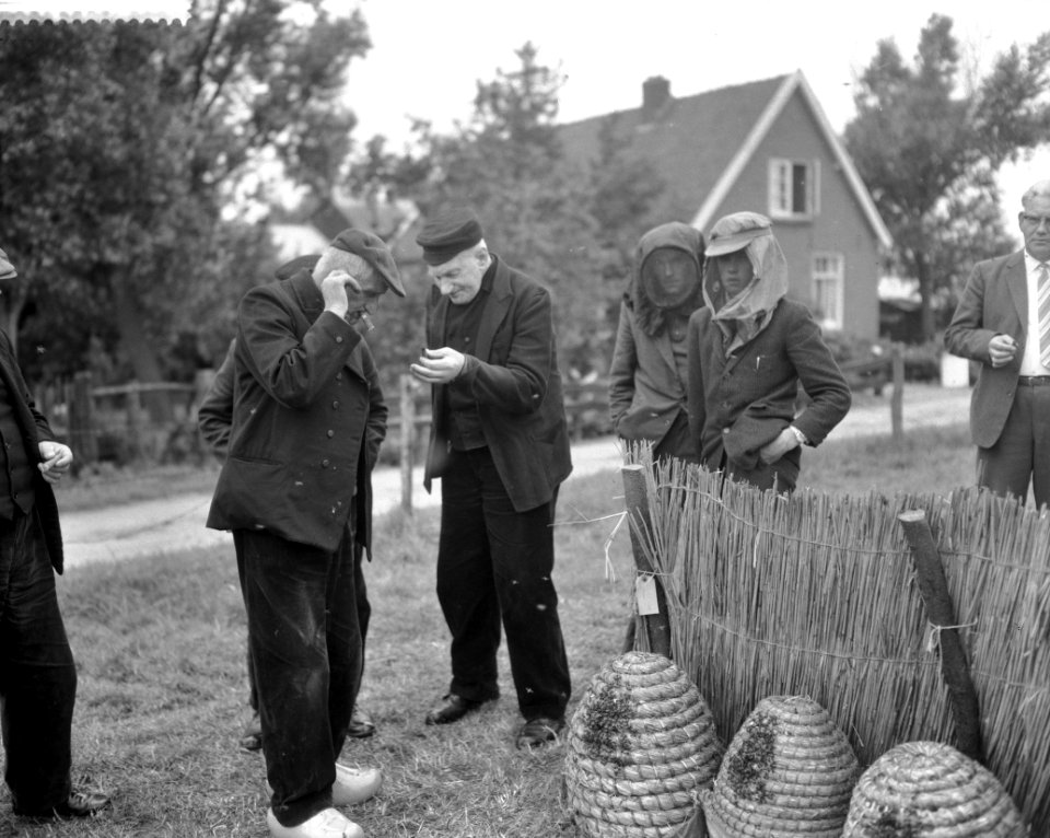 Jaarlijkse bijenmarkt in Veenendaal, Bestanddeelnr 911-4360