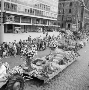 Jaarlijkse bloemencorso te Rotterdam, Bestanddeelnr 911-5194