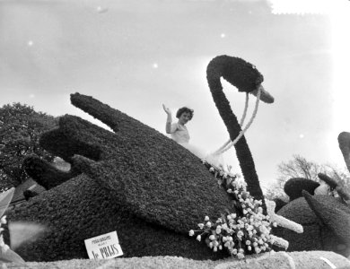 Jaarlijkse bloemencorso in de bollenstreek, Bestanddeelnr 910-3218