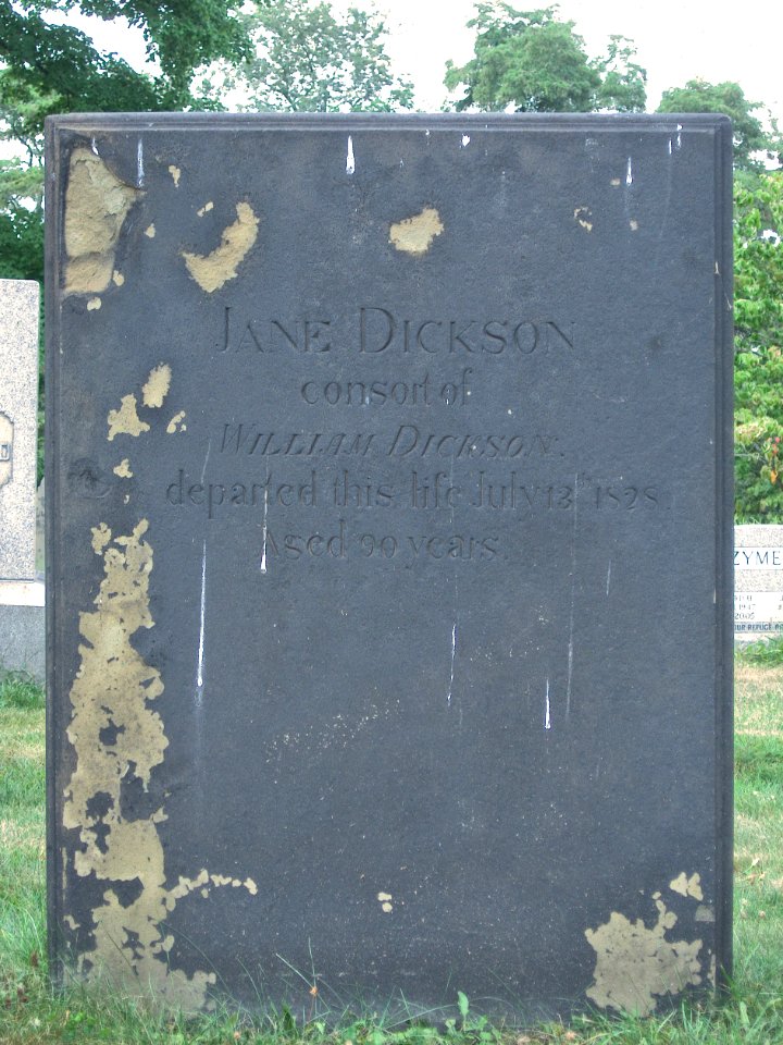 Jane Dickson Tombstone, Hiland Cemetery, 2015-08-17, 01