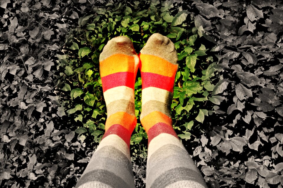 Female pantyhose striped