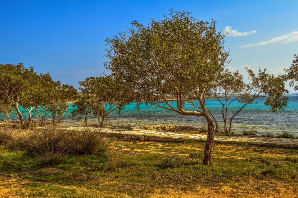 Landscape seaside scenery