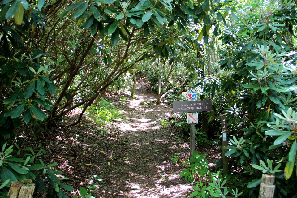 Jacks Knob Trail, Brasstown Bald, May 2019
