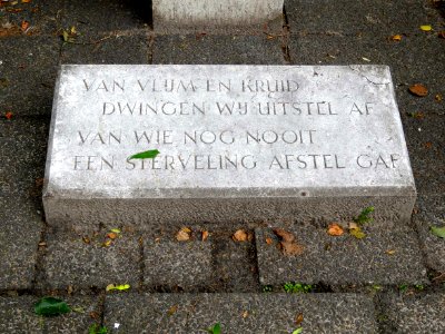Jan Willem Anton Gewin2 arts Delden