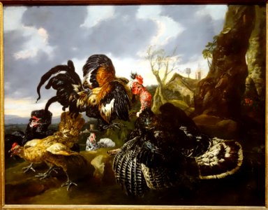Jan Fyt, Rooster and Turkey