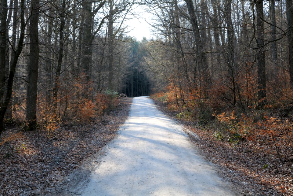 Jagdhüttenweg Kronberg 2020-03-25 06
