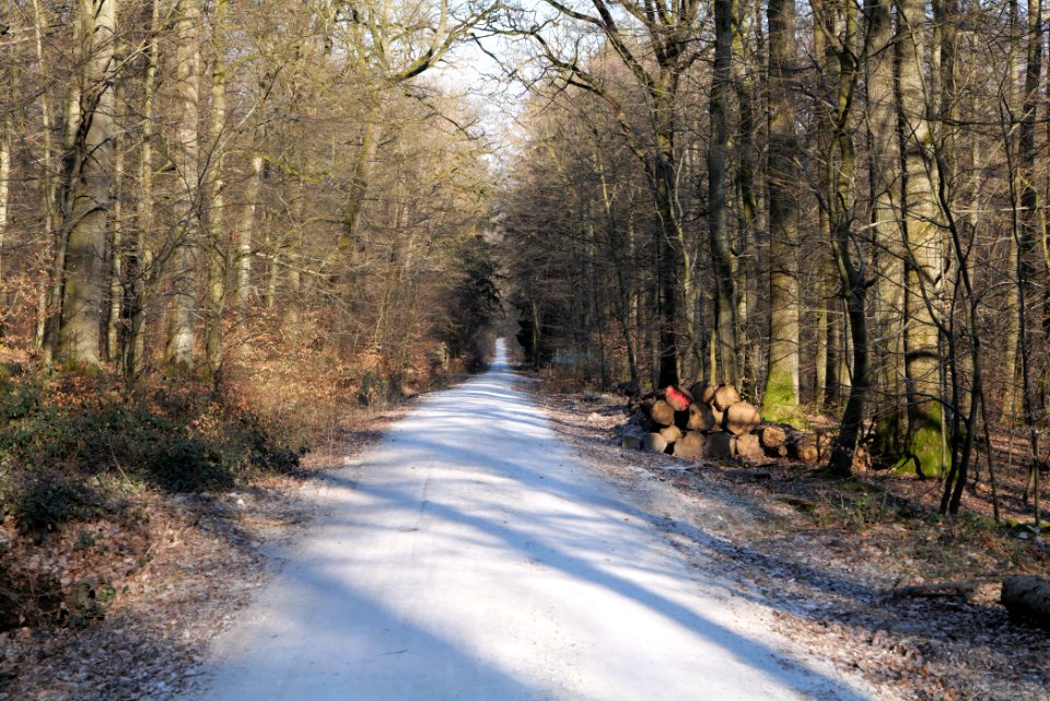 Jagdhüttenweg Kronberg 2020-03-25 04