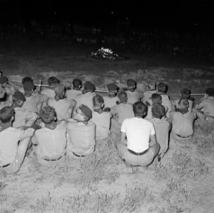 Jamboree 1963 te Marathon Griekenland. Nederlandse belangstelling, Bestanddeelnr 915-4250