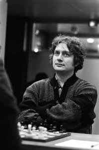 Jan Timman, Bestanddeelnr 933-5528