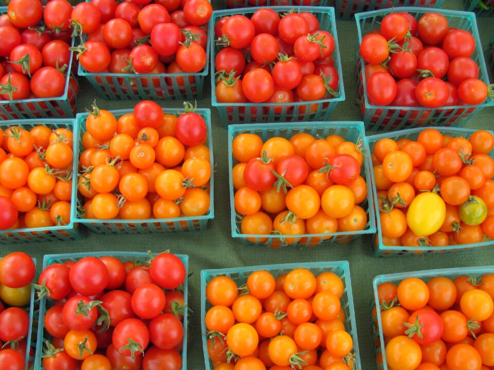 Vegetable fresh tomato