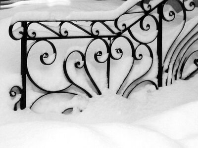 Cold white season
