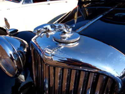 Jaguar 2 axle risedbody saloon (1948), Dutch licence registration AL-51-84 pic3