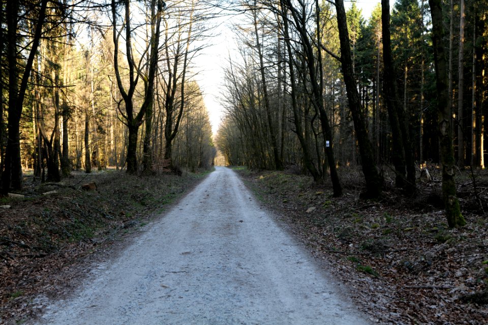 Jagdhüttenweg Kronberg 2020-03-25 02