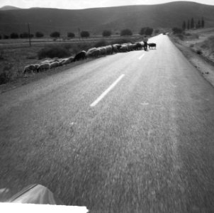 Jamboree 1963 te Marathon Griekenland, Bestanddeelnr 915-4348