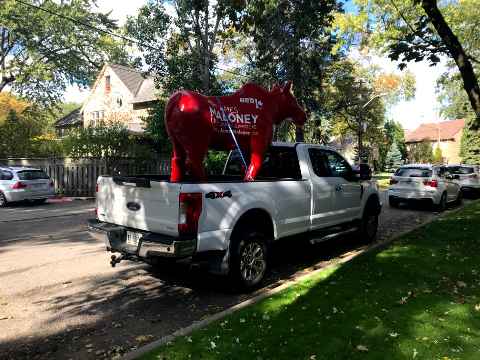James Maloney Moose