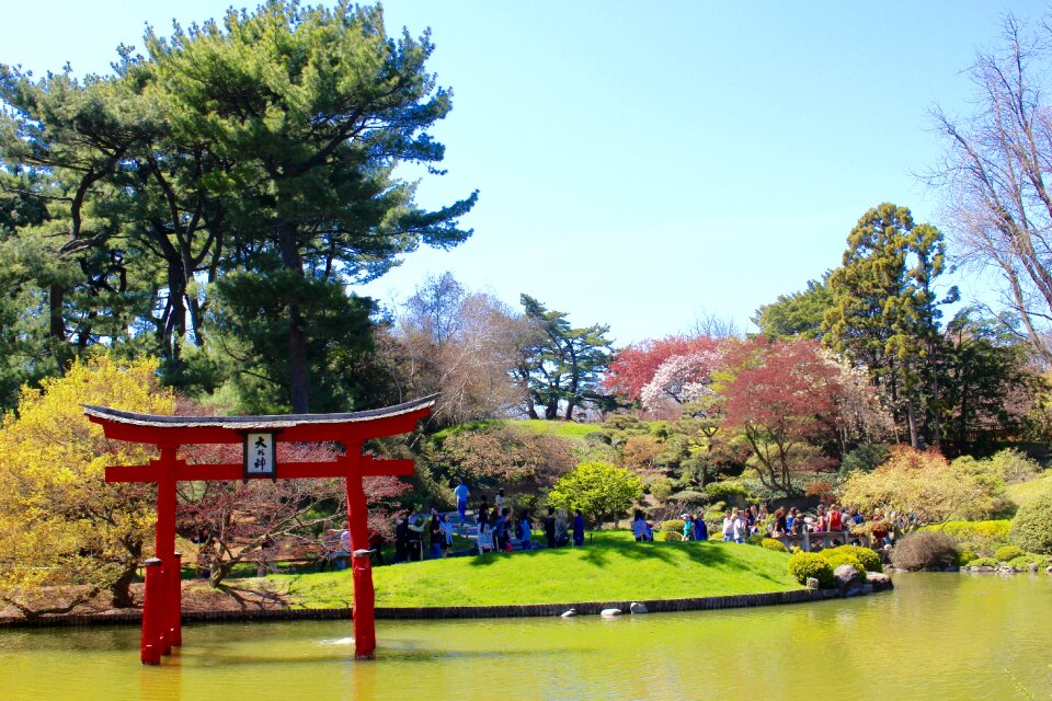 Pond nature landscape