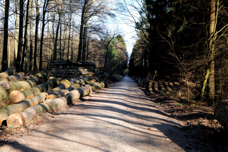 Jagdhausweg Kronberg 2020-03-25 03