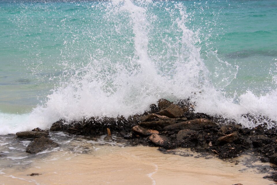 Tropical beach nature