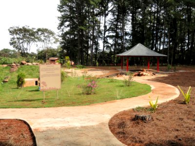 Japanese Garden (Jardim Botânico de Brasília) - DSC09642