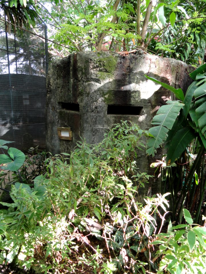 Japanese bunker - Guam Zoological, Botanical and Marine Garden - DSC01039