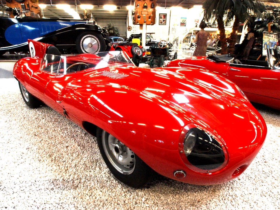 Jaguar D-Type 1954 pic2