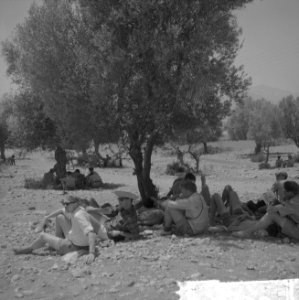 Jamboree 1963 te Marathon Griekenland Bescherming tegen hitte onder de bomen, Bestanddeelnr 915-4408