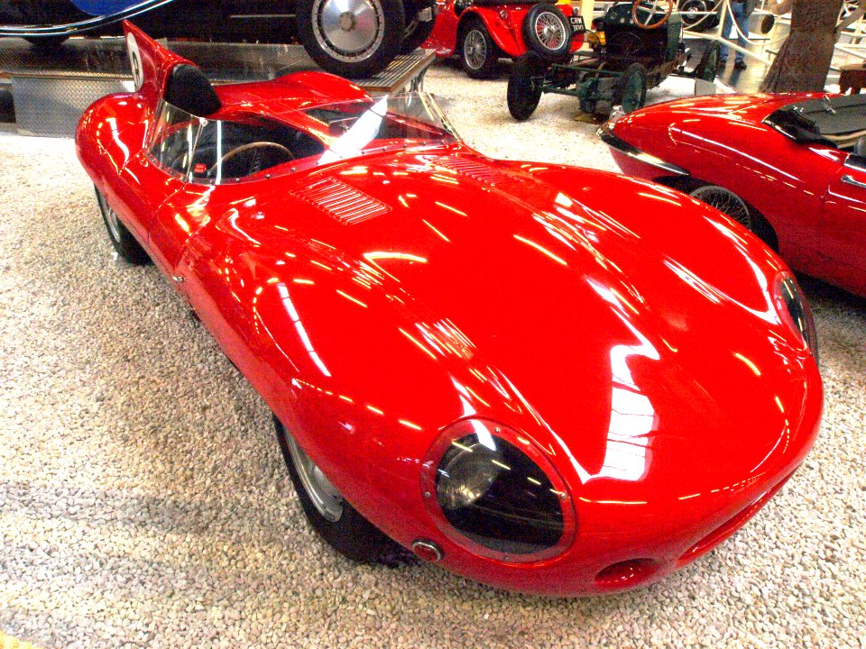 Jaguar D-Type 1954 pic1