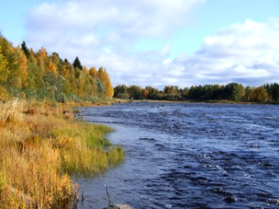 Kiiminkijoki Haukipudas 20070923 01