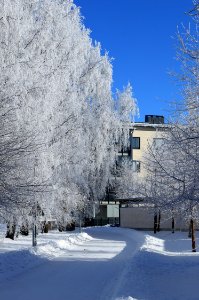 Kiilanpolku Oulu 20170307
