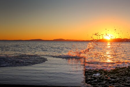 Golden lion sea landscape