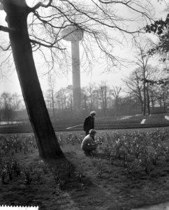 Kijkje op de Floriade op de achtergrond Euromast, Bestanddeelnr 911-1255