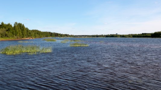 Kiiminkijoki Oulu 20200627