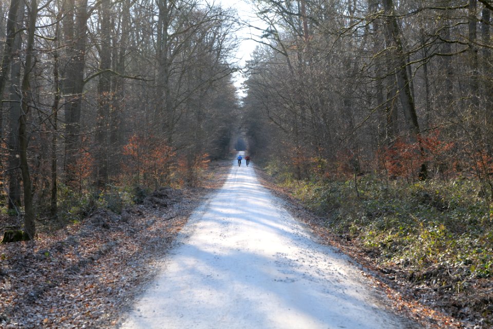 Jagdhüttenweg Kronberg 2020-03-25 08