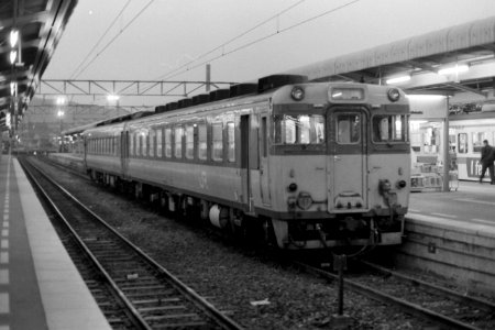 Kiha 65 and Kiha 58 at Takamatsu station