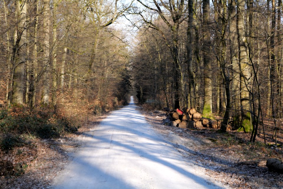 Jagdhüttenweg Kronberg 2020-03-25 03