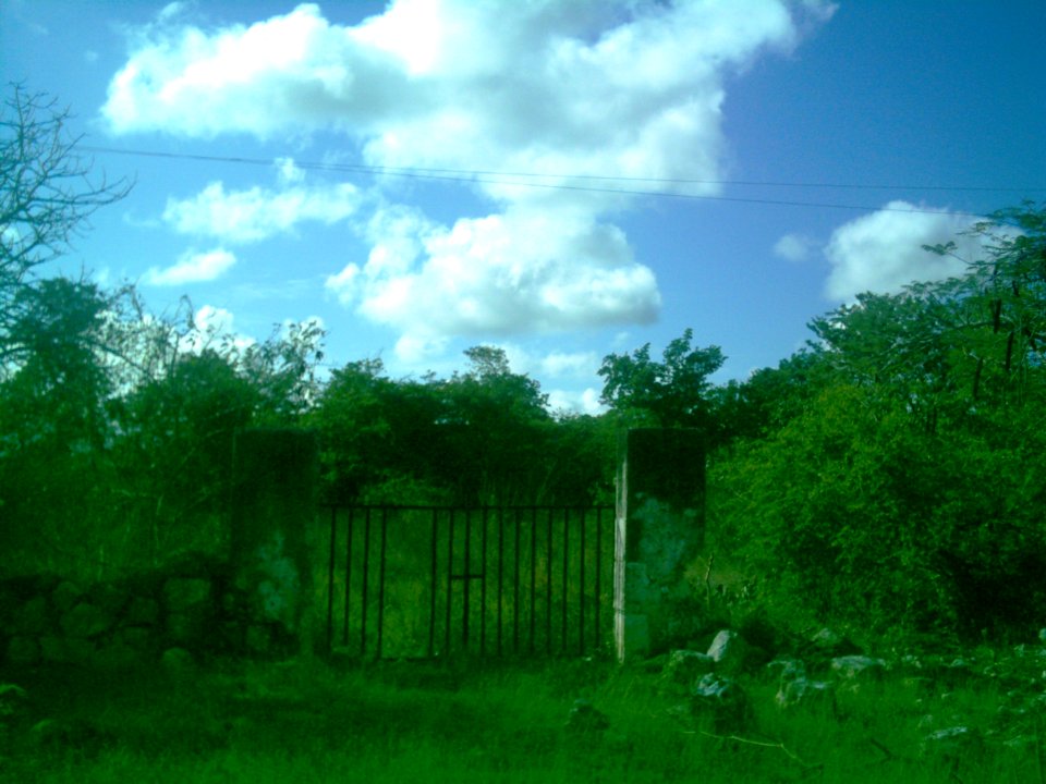 Kikteil, Yucatán (04)