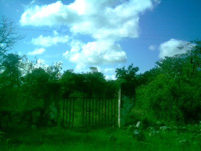 Kikteil, Yucatán (04)