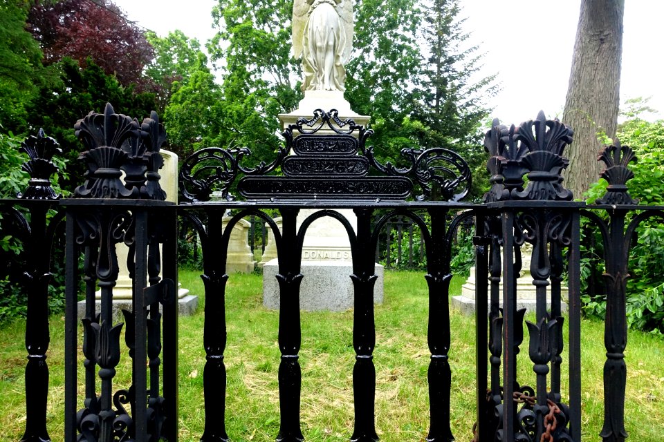 James Lowry Donaldson fence detail - Mount Auburn Cemetery - DSC04212