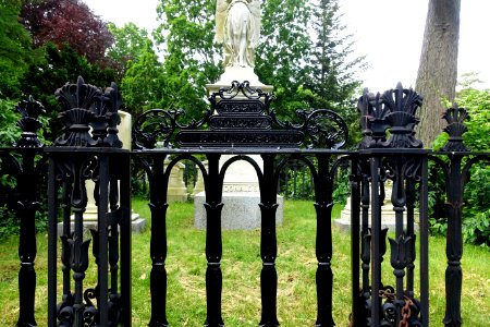 James Lowry Donaldson fence detail - Mount Auburn Cemetery - DSC04212