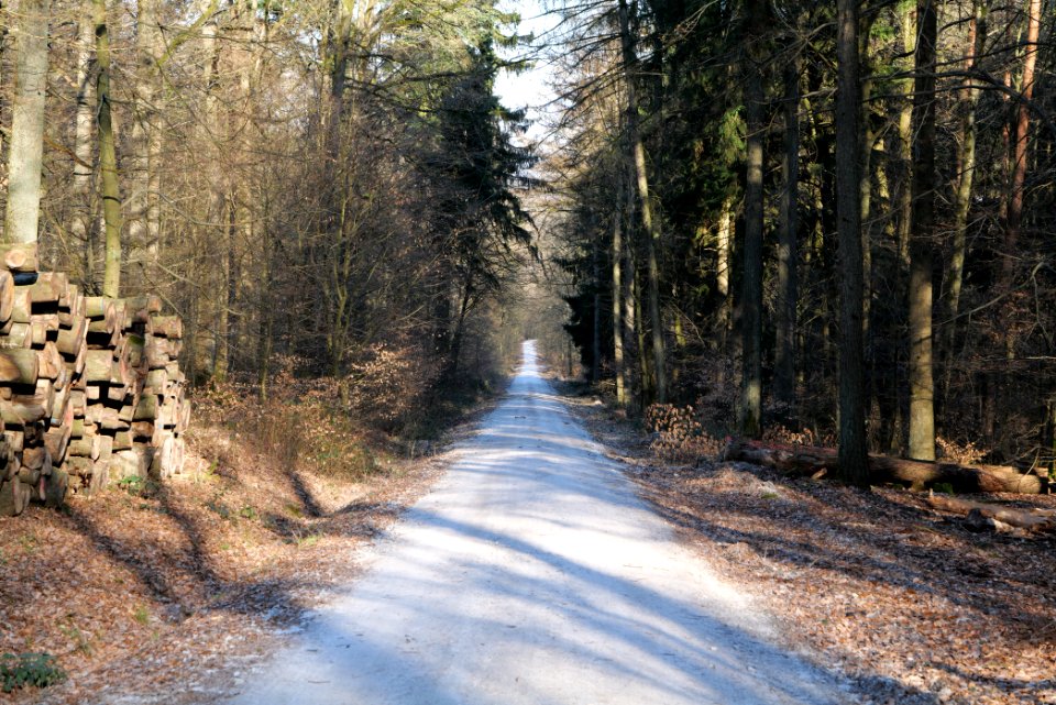 Jagdhüttenweg Kronberg 2020-03-25 07