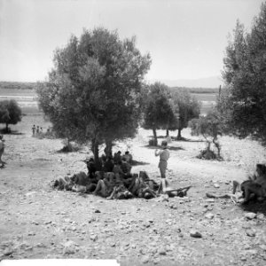 Jamboree 1963 te Marathon Griekenland Bescherming tegen hitte onder de bomen, Bestanddeelnr 915-4409
